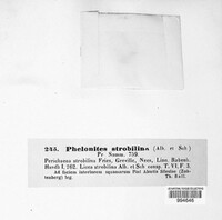 Image Associated With the Occurence